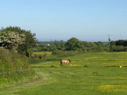 Treliever Equestrian Centre